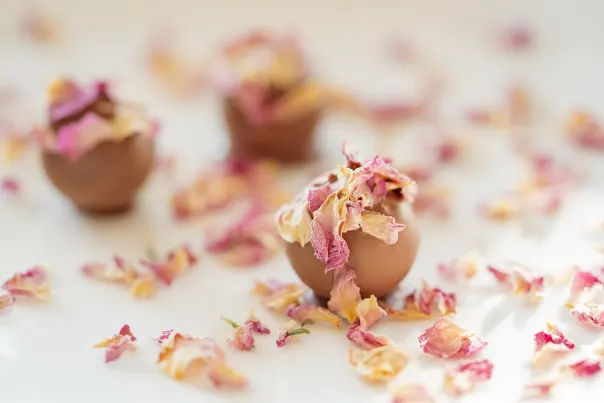 JokerBet Casino Android/iOS Forrit